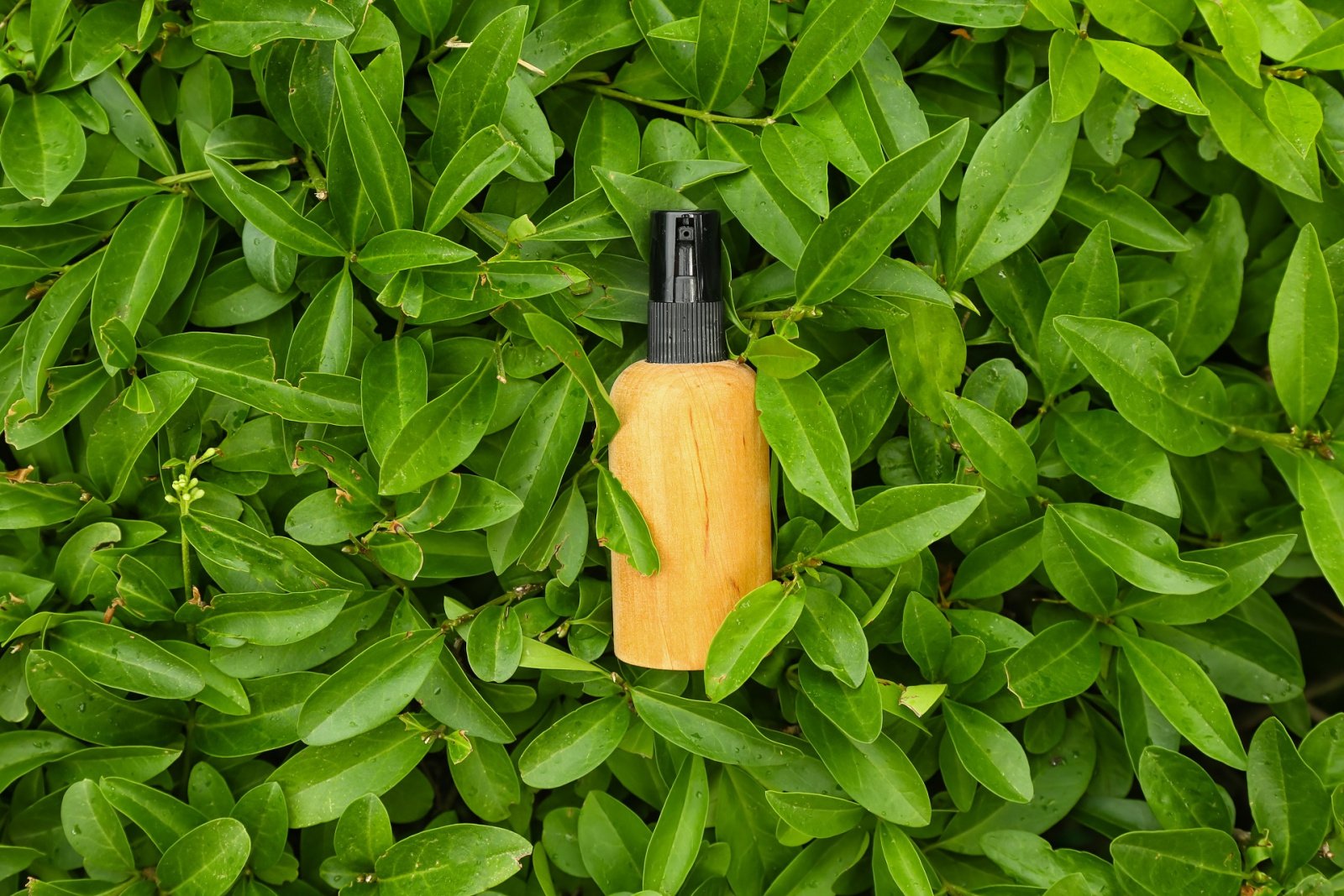 Product and branding - bottle of cosmetic product on leaves as background